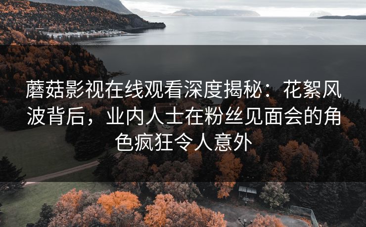 蘑菇影视在线观看深度揭秘：花絮风波背后，业内人士在粉丝见面会的角色疯狂令人意外  第1张