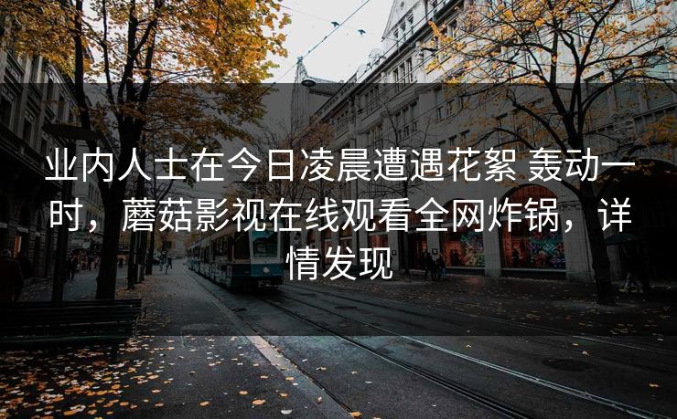 业内人士在今日凌晨遭遇花絮 轰动一时，蘑菇影视在线观看全网炸锅，详情发现